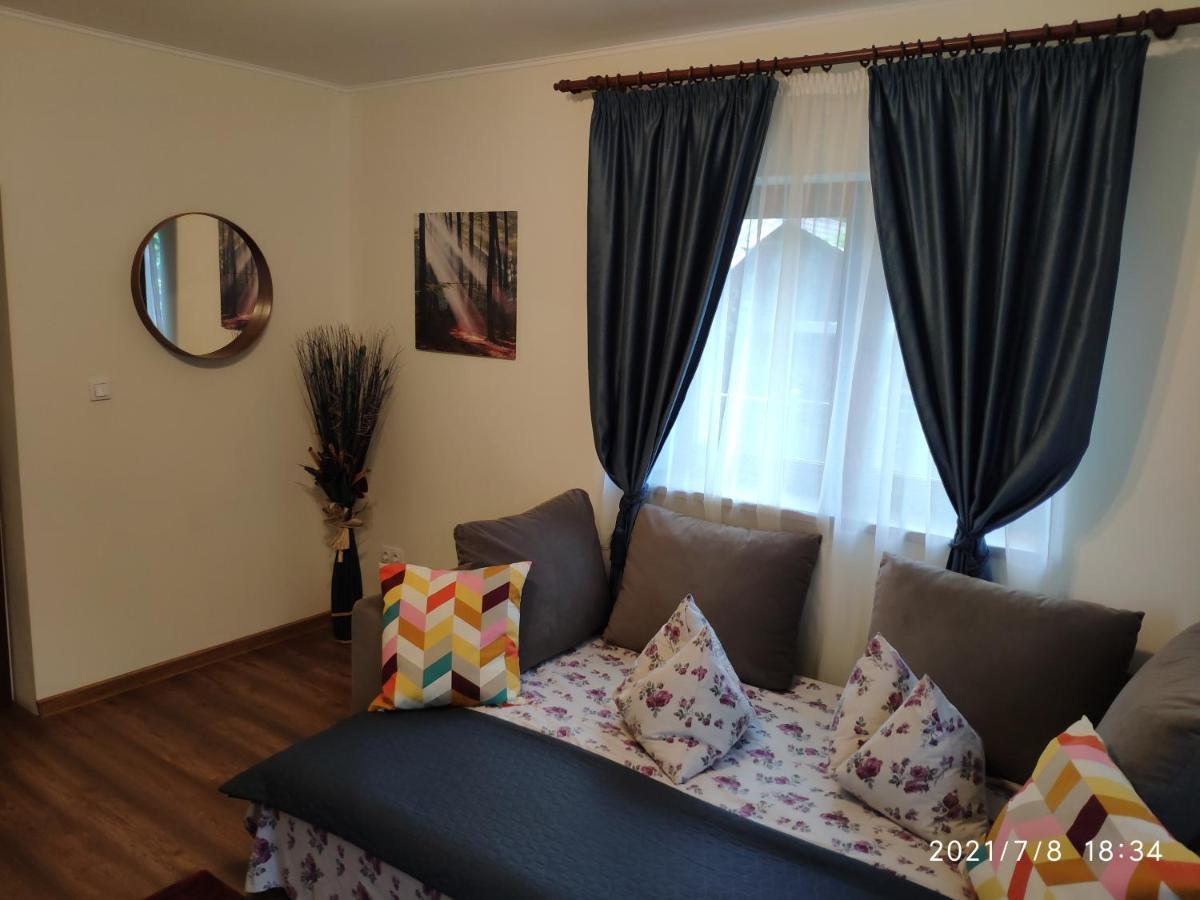 Villa Cozy House Sinaia Exterior foto